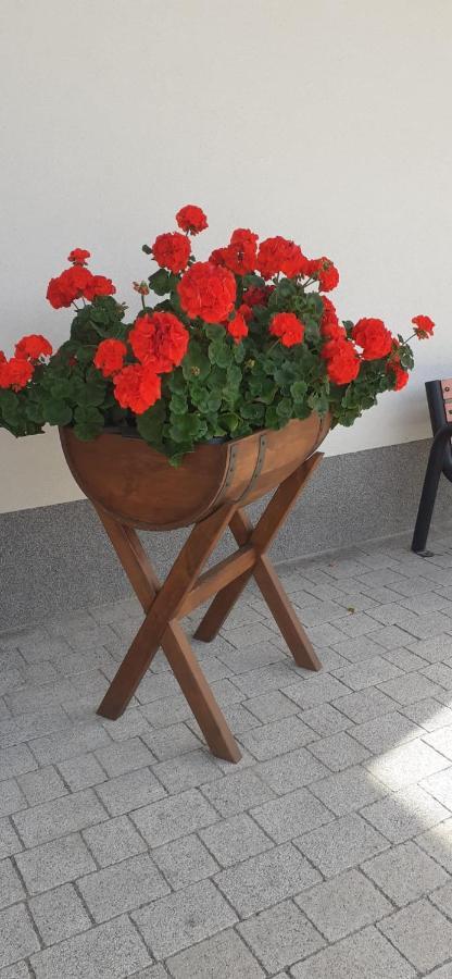 Kostrzyca Agroturystyka Aura מראה חיצוני תמונה