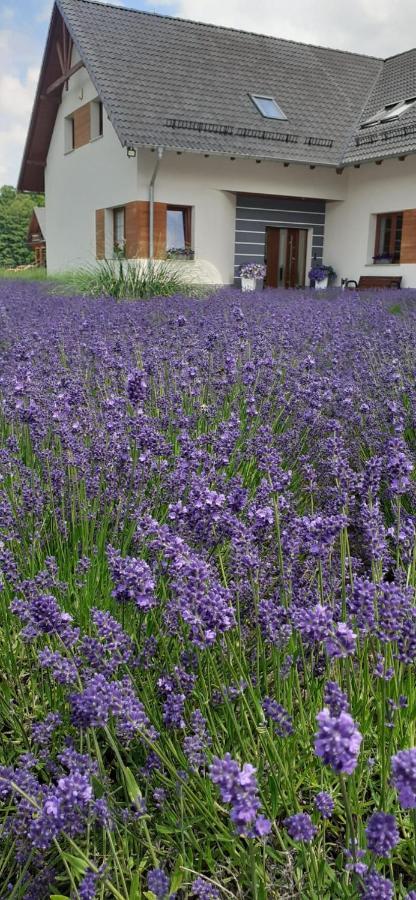 Kostrzyca Agroturystyka Aura מראה חיצוני תמונה